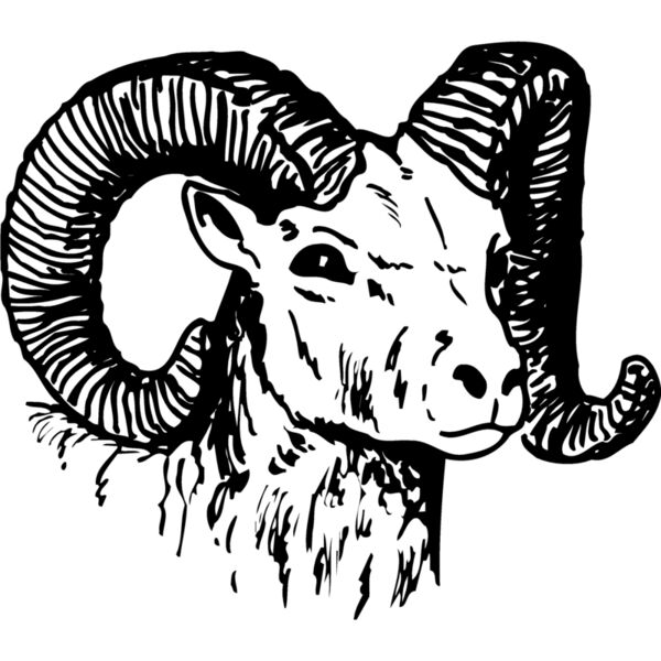 RAM010 Thumbnail