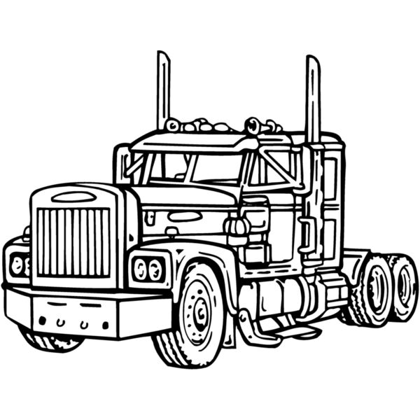 CAB13 Thumbnail
